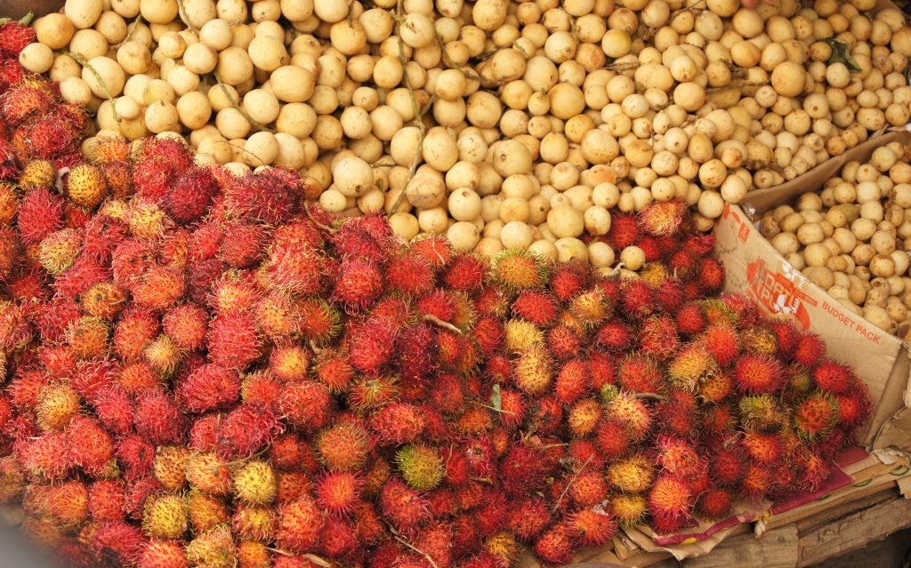 Tropical Fruit in the Philippines