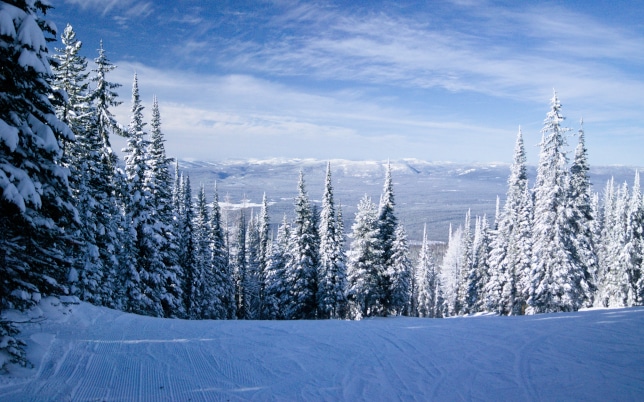 Looking into the Flathead Valley MT from top of Swift Creek at Whitefish Mountain Resort